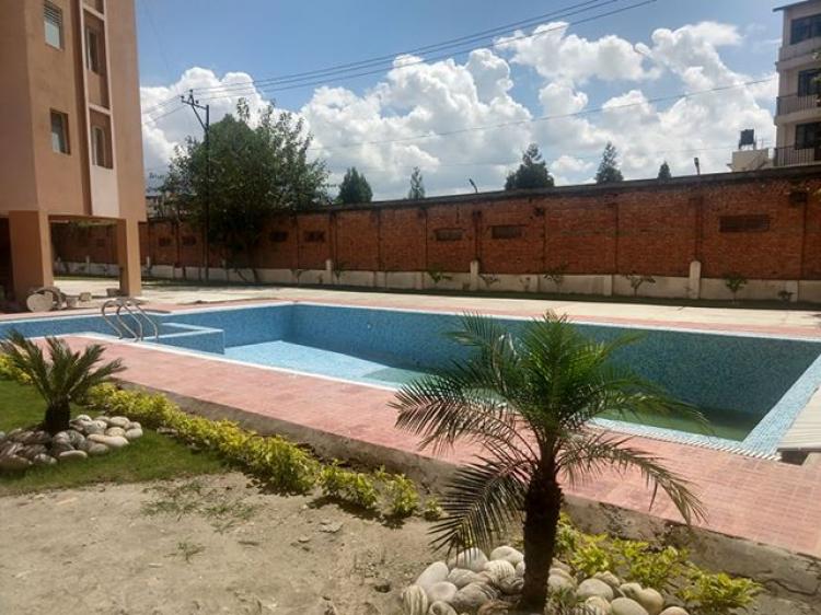 70486570_1883573685078824_2749854185653534720_n