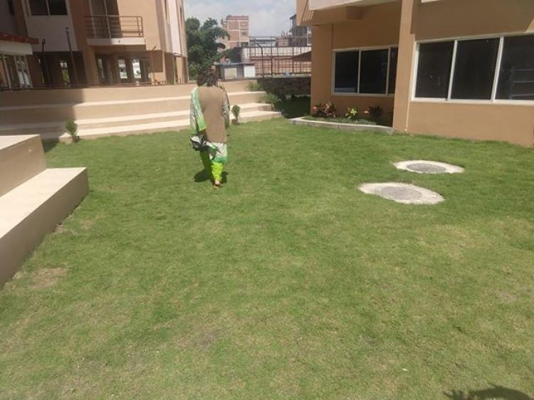 70848362_2931779433518301_5085965848036769792_n