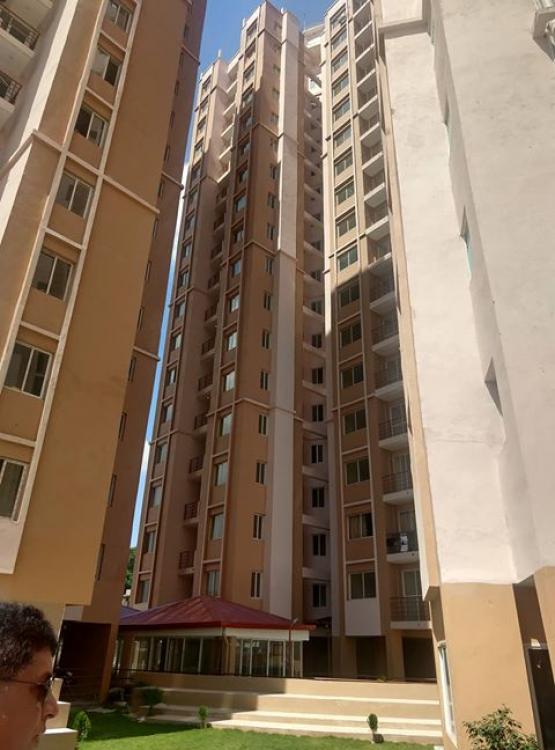 71255938_516077568966722_607474754097512448_n