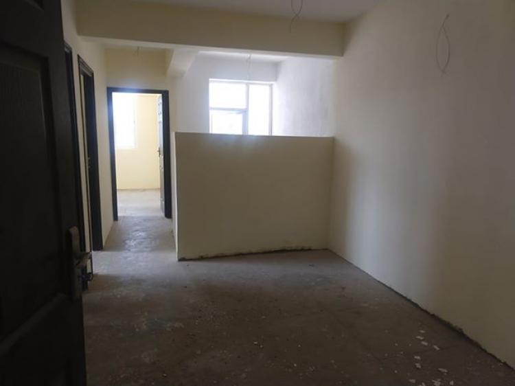 71556674_386702872283221_5832217592537808896_n