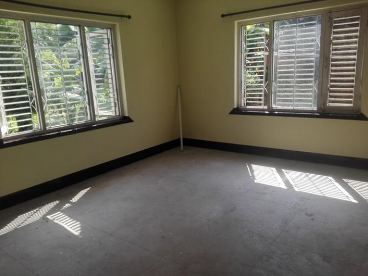 72952979_442854219679817_7257381637925634048_n