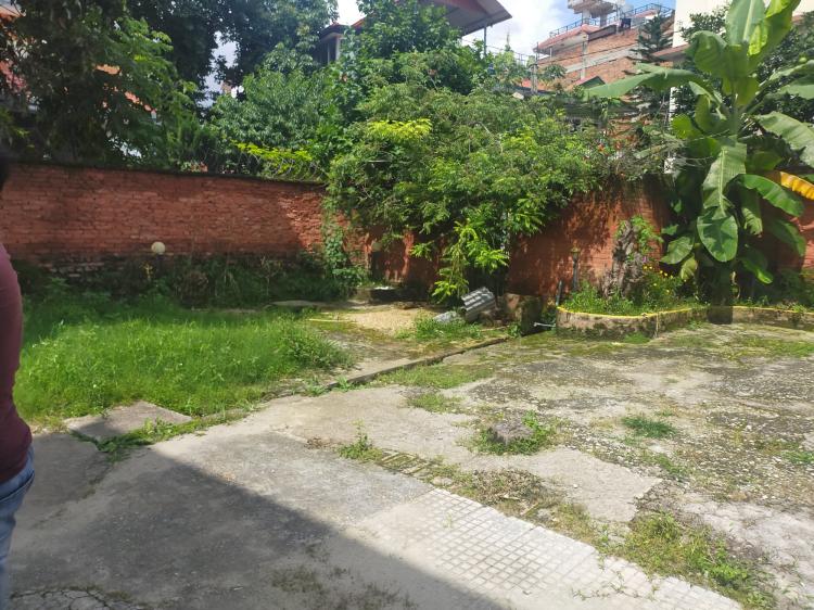 house for rent in sanepa 14