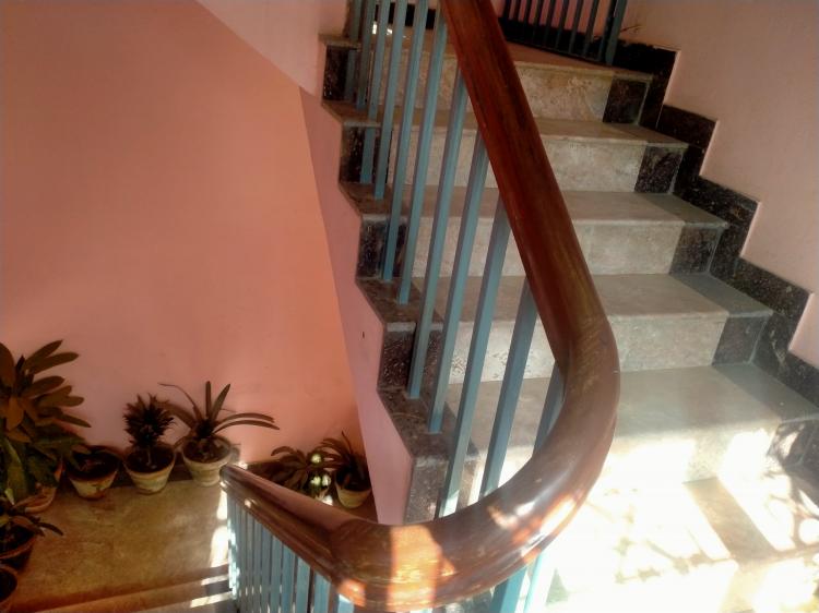 125233582_2802443929990872_5563006763555632570_n