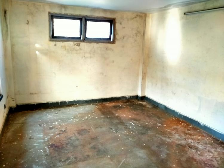 125239583_184212463253199_4598376564622701550_n