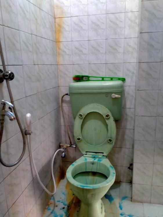 125427076_395480851602390_7181234403079004522_n