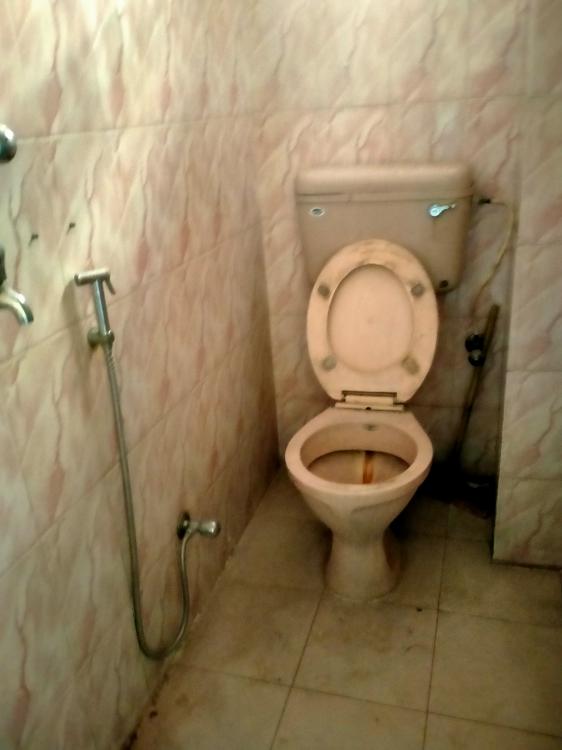 125775400_211560220355062_6920677940099646894_n