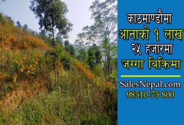 Land for Sale