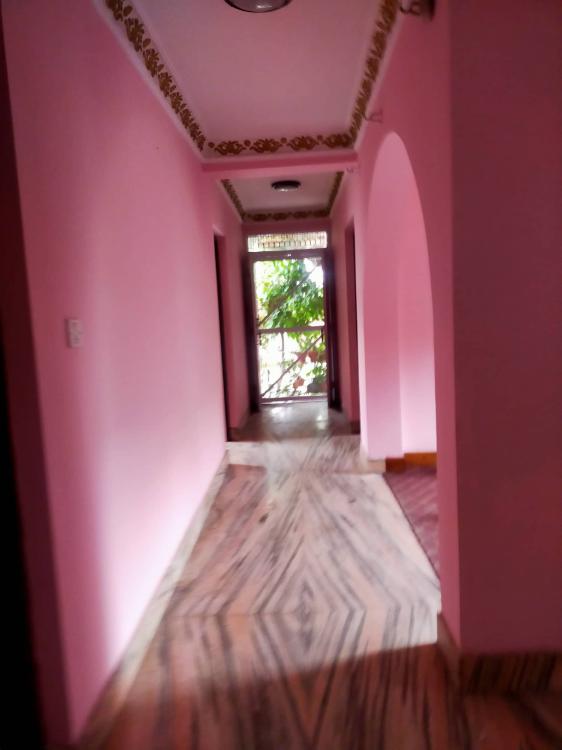 284394429_5181979771851576_5193418350723650497_n