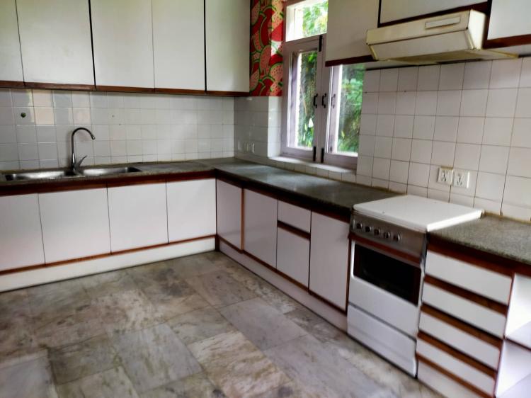 288351319_1265786610824375_6180124849162926131_n