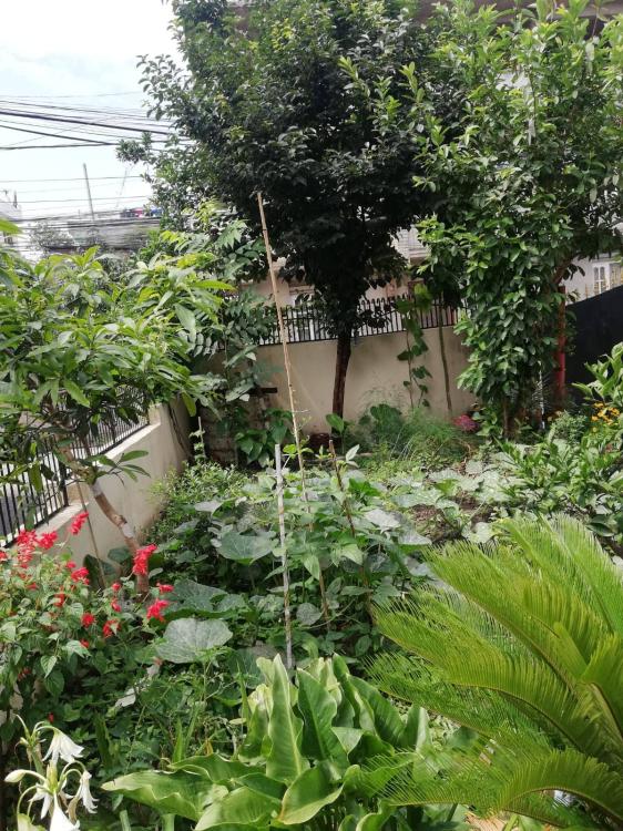 289843650_1096334704634002_6937681807093558208_n