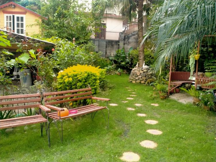 294882181_463939548908878_2934213608323897719_n