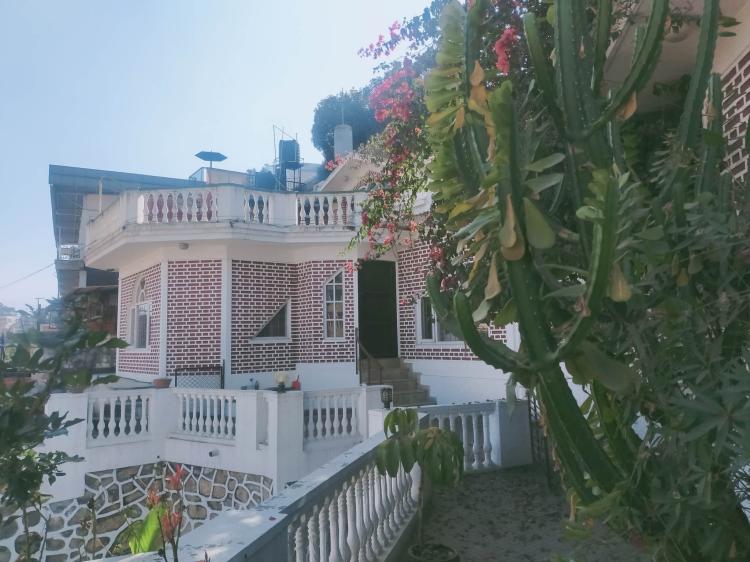 317356597_1291974624987922_5754391852541347117_n