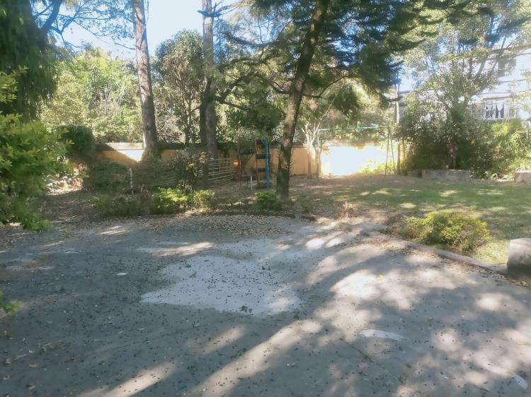 317731651_1245302339534775_5026776615903330686_n