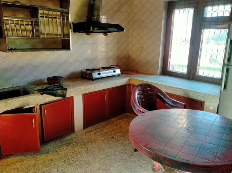 322084672_1334886253990900_882431434294703520_n