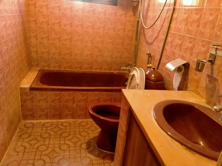 322586106_487818636801329_697321224325608755_n