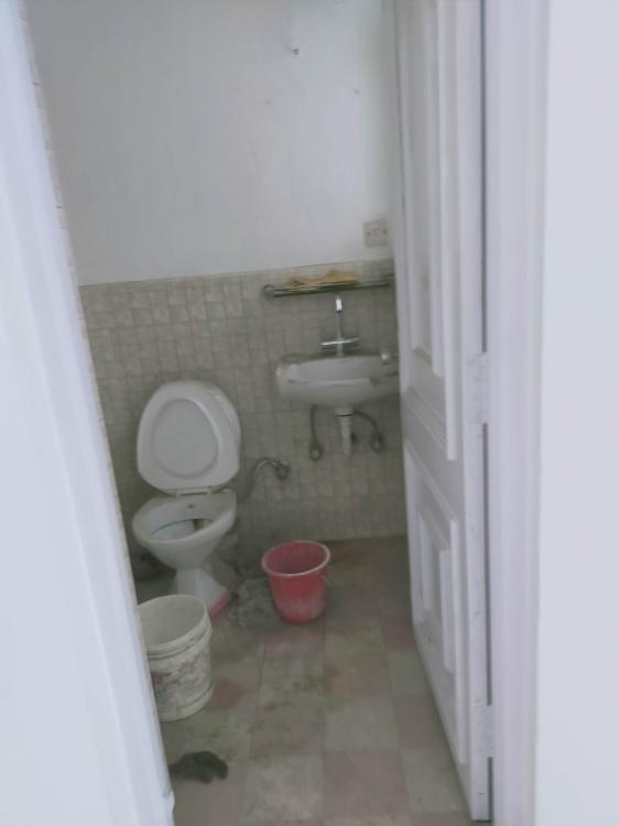 328354805_1247943362477624_113716622664156202_n