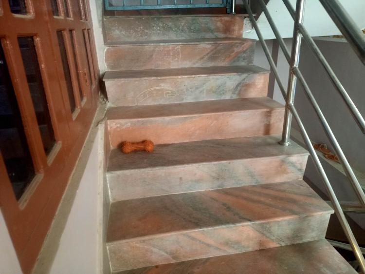 349457337_592997462637270_603781371598494747_n