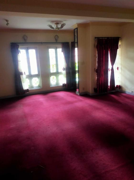 409902624_1011995999874533_5954667380763405597_n