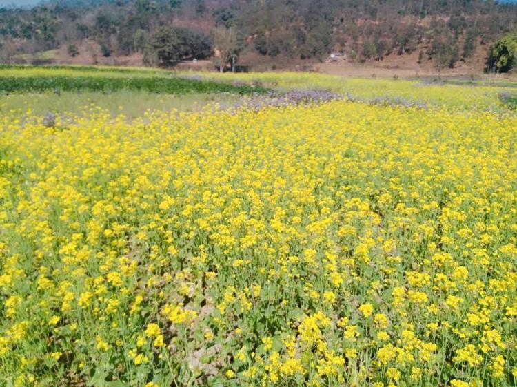 991d0ce6-27ae-4348-be52-ae44f137881c