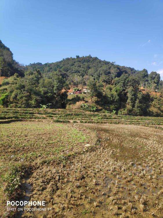 d2d2dbb5-6b9a-4616-aadb-5923df9a10dd