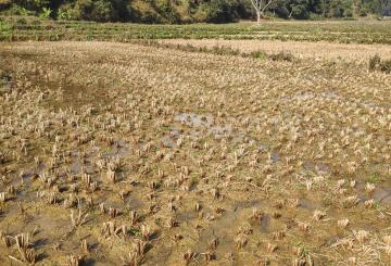 d6144b0a-c33d-4d59-97ee-0acdda34ebdf