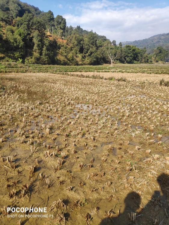 d6144b0a-c33d-4d59-97ee-0acdda34ebdf