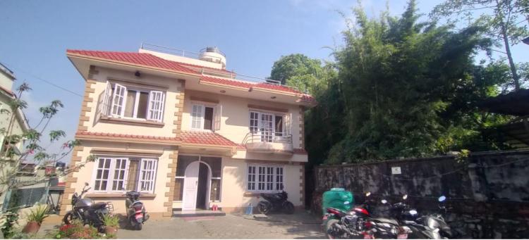sanepa office.JP