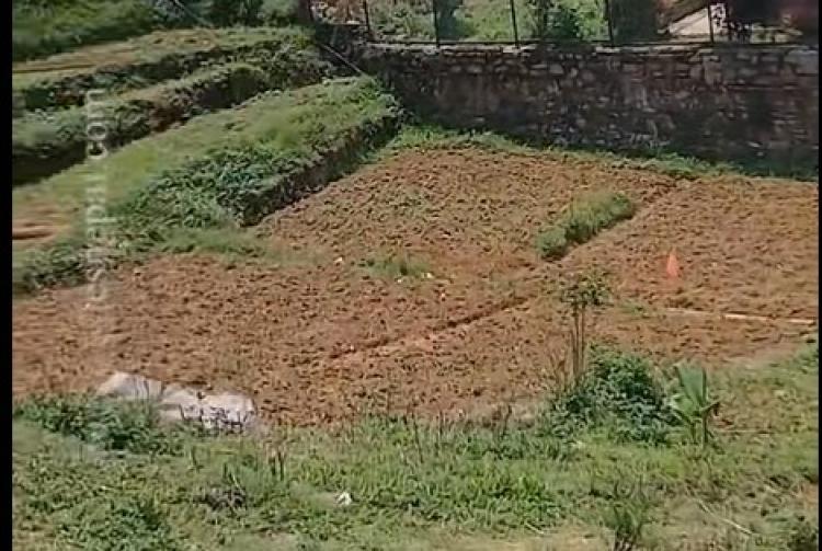 WhatsApp Image 2025-06-18 at 5.35.54 PM