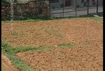 WhatsApp Image 2025-06-18 at 5.38.03 PM