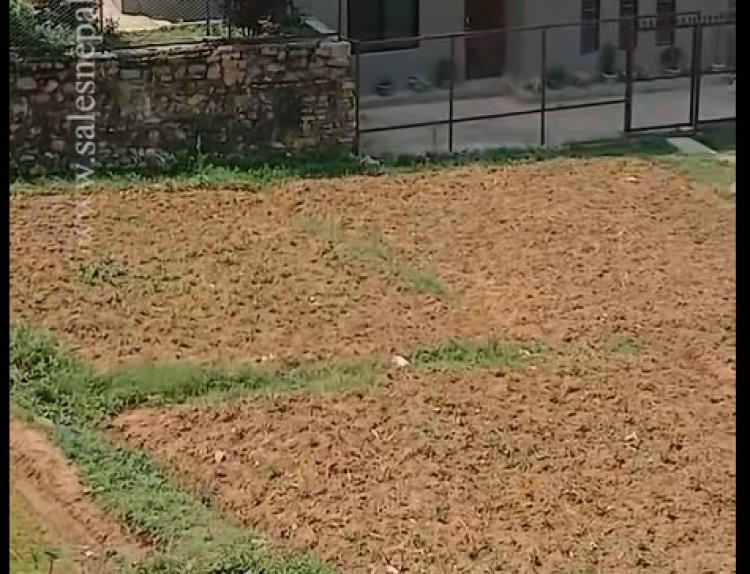 WhatsApp Image 2025-06-18 at 5.38.03 PM