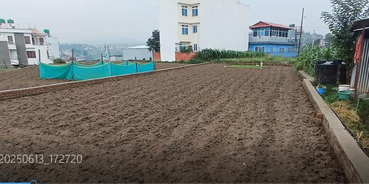 viber_image_2025-06-18_11-20-39-546