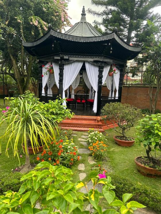 viber_image_2025-06-24_18-02-52-664