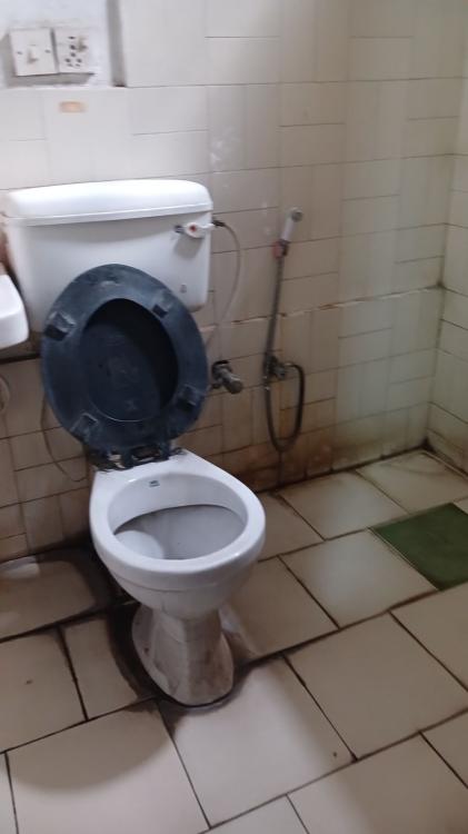 viber_image_2025-07-04_11-27-03-691