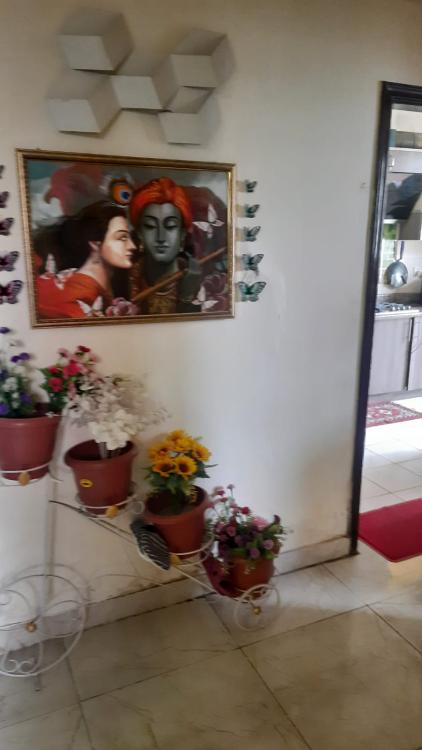 viber_image_2025-07-09_12-35-23-335