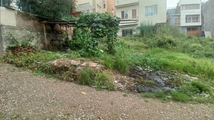 viber_image_2025-08-11_15-31-19-090