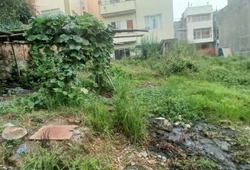 viber_image_2025-08-11_15-31-19-707