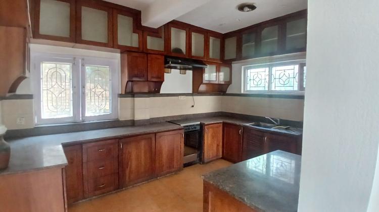 viber_image_2025-08-19_15-24-46-345