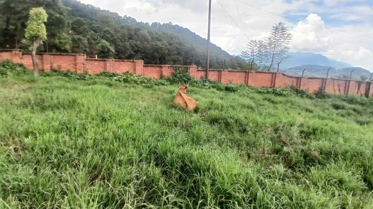 viber_image_2025-08-20_14-32-04-034