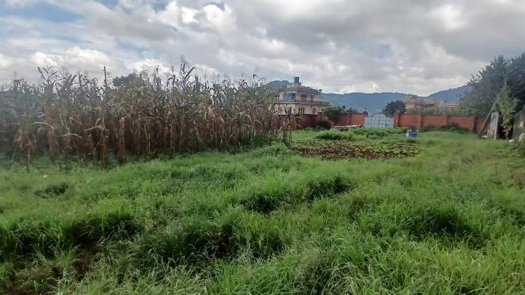 viber_image_2025-08-20_14-32-04-089