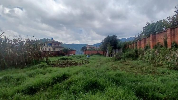 viber_image_2025-08-20_14-32-04-128