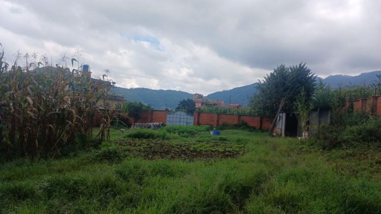 viber_image_2025-08-20_14-32-04-184