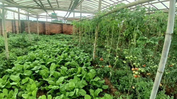 viber_image_2025-08-20_14-32-04-236