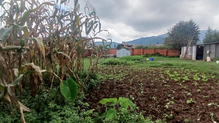 viber_image_2025-08-20_14-32-04-290