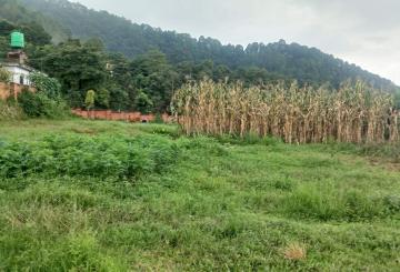 viber_image_2025-08-20_14-32-04-604