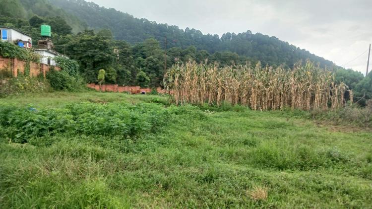 viber_image_2025-08-20_14-32-04-604