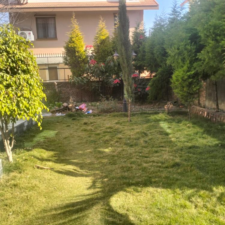 viber_image_2025-10-09_16-42-51-585