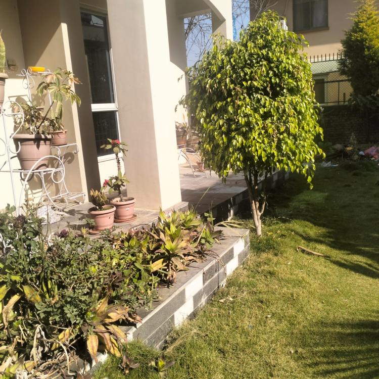 viber_image_2025-10-09_16-43-17-541