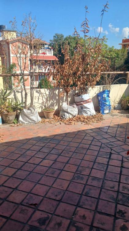 viber_image_2025-11-10_11-10-11-799