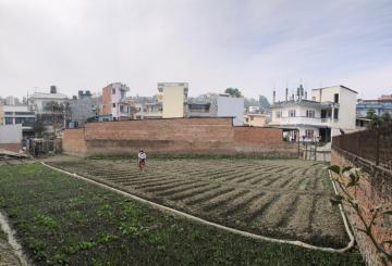 WhatsApp Image 2026-01-25 at 2.32.51 PM