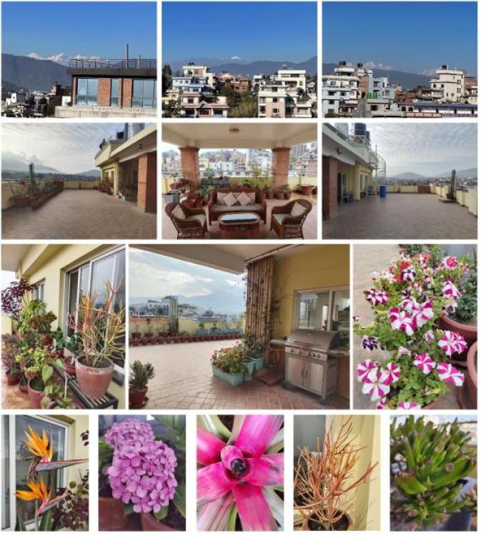 viber_image_2026-01-18_12-24-40-703